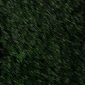 Meet your Posher, Alexia